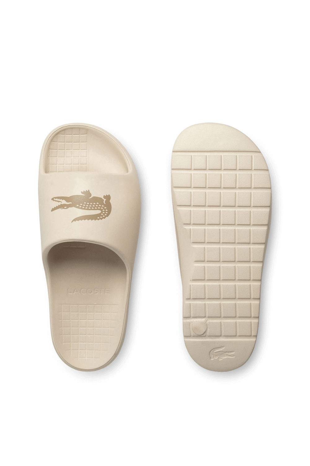 תמונה אחורית של כפכפי סליידס LACOSTE