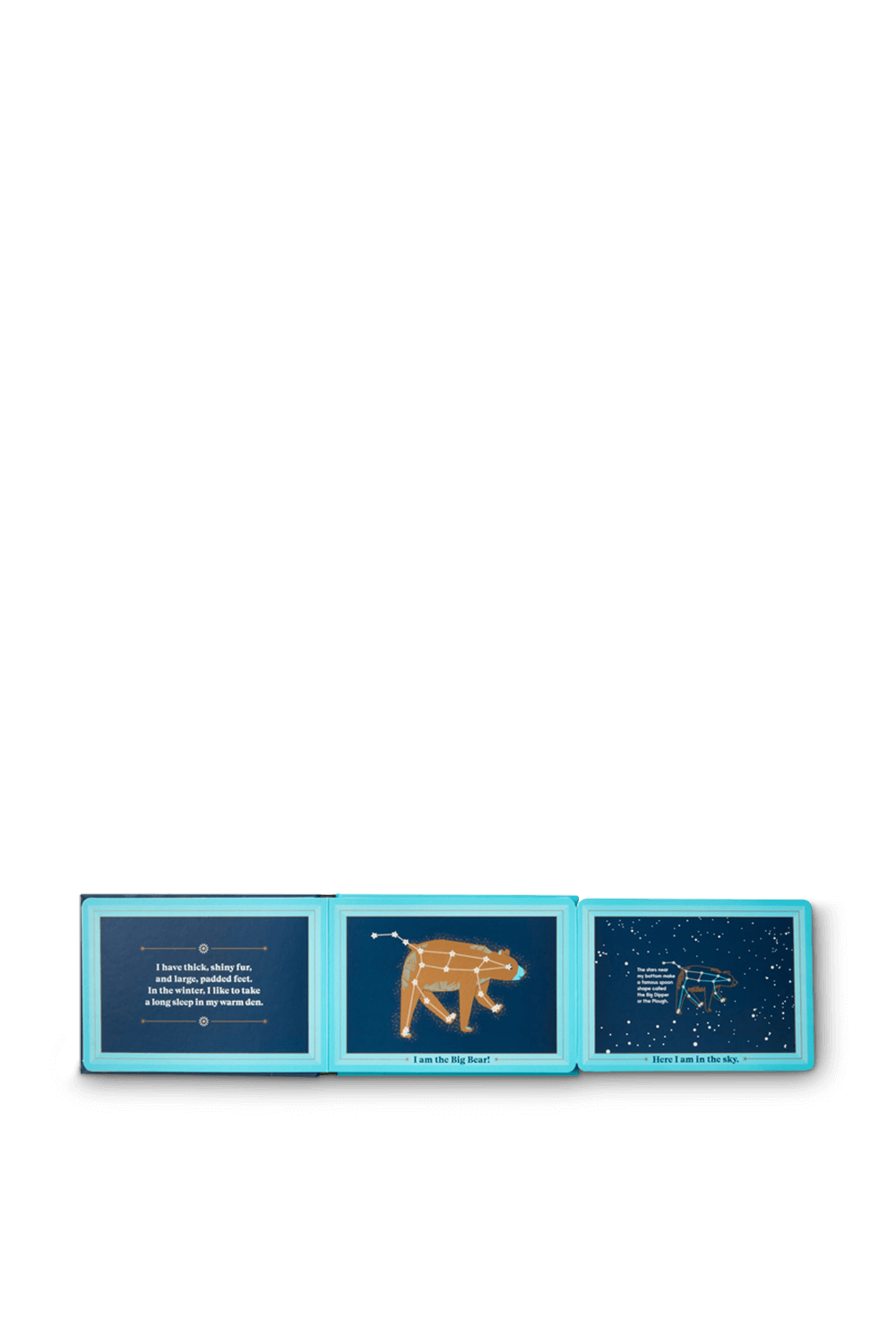 תמונת פנים של Animals in The Sky PHAIDON