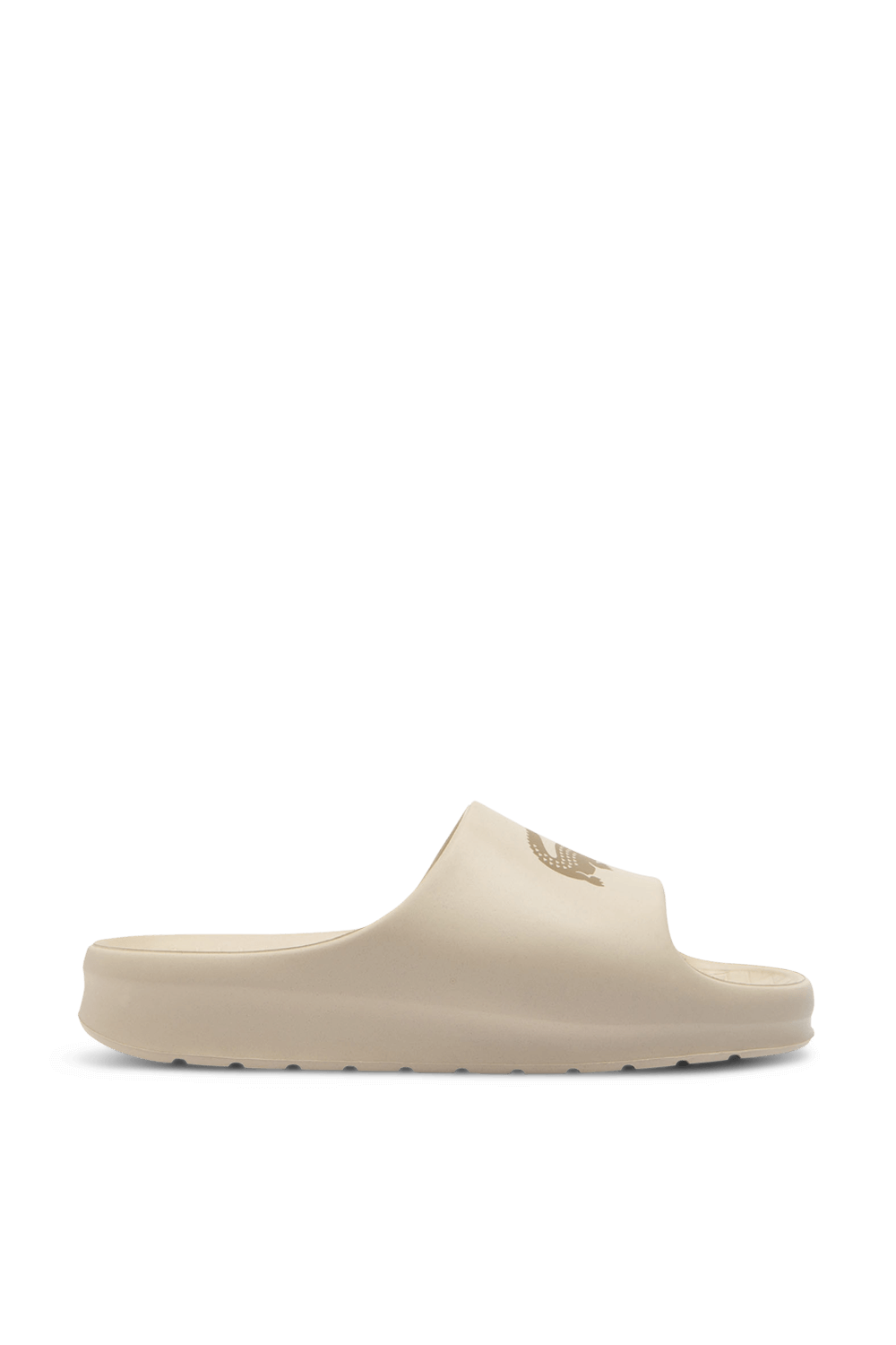 תמונה קידמית של כפכפי סליידס LACOSTE